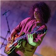 Vuoi imparare la chitarra ma non sai da dove cominciare? Ti piacerebbe accompagnarti mentre canti o anche scrivere le tue canzoni?