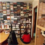 Soy investigadora y puedo ayudar a montar TFM y TFG. Puedo enseñar métodos de investigación y clases de historia. 
Me especializo en temas como migración, esclavitud, expediciones científicas, georreferenciación