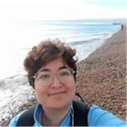 Profesora con más de 7 años de experiencia enseñando inglés a adolescentes y adultos desde nivel secundario al universitario.