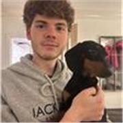 Dan