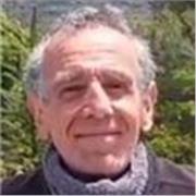 Profesor particular de Inglés/ Español  para extranjeros titulado por la Universidad de Goldsmiths con más 10 años de Experiencia