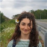 Insegno matematica base, a bambini e ragazzi che hanno qualche difficoltà. Nulla è impossibile! Unica cosa: per ora preferisco lezioni online