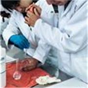 Clase en linea para niños y sin experiencia