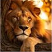 Docente con experiencia en Investigación en ciencias de salud y educación