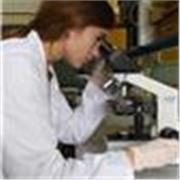 Profesora de Biología imparto clases a niñ@s de todas las edades, primaria, ESO, bachillerato y universidad