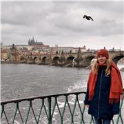 Online Nachhilfe in Mathematik auf Schul- und Universitätsniveau für alle Altersklassen