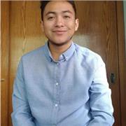 Maestro de materias fisicomatemáticas de forma presencial u online