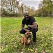 Professeur Enseignement scolaire et professionnel anglais