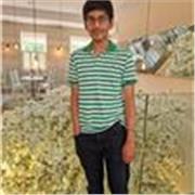 GCSE and A level Maths and Chemistry Tutor. 4A* at A level and 11 9s at GCSE. Scored over 95% in Maths and Further Maths A level