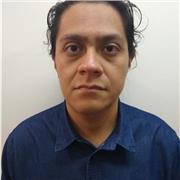 Maestro de Física básica a nivel universitario, Maestro de matemáticas nivel básico a universitario, Maestro de Inglés y Español, Redacción de Textos