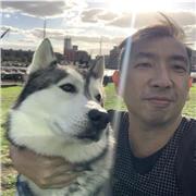 Business administration, finance and accounting for degree or below course