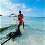 Soy un apasionado del mundo fitness, tengo más de 10 años entrenando. 