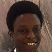 My lesson is aimed to those doing GCSE maths and I am 17 year old. I'm someone who is very passionate about what I do/