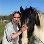 Salwa