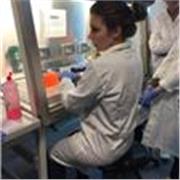 Laureata magistrale in biotecnologie offre lezioni di biologia e biologia molecolare