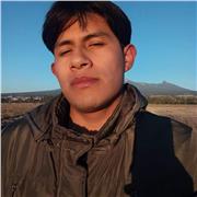 Maestro de Español, Matemáticas e Historia