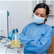 Docente del curso de Química, Biología o Investigación (Proyecto para la Feria de ciencias EUREKA)