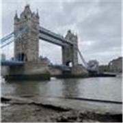 Hola yo soy Jesús y soy tu profe particular 