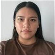 Clases online económicas para alumnos de primaria y nivel secundario