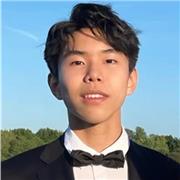 Experienced BSc Economics student with A* in A-level Maths and Further Maths, offering engaging online maths lessons