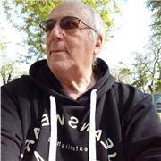 Profesor y Traductor de Portugués