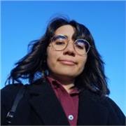 Offro da subito lezioni di italiano per stranieri online 