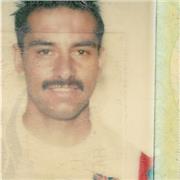 PE, Sports Studies, Sports Science and Sports Injuries Tutor - Plus EPQ Supervisor and UCAS Personal Statement Advisor