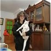 Profesora de mates y física imparte clases desde nivel de primaria a nivel de bachillerato