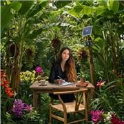 Tutor di inglese per bambini. Insegnamento di lettura, grammatica, conversazione, aiuto con i compiti e programma scolastico