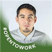 Profesor de redacción, ortografía y comprensión lectora. Redacción digital