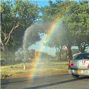 Soy responsable,amable y dedicada, trabajo con niños de primaria