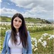 Impartisco ripetizioni su materie umanistiche ad alunni dei licei e istituti tecnici. Insegno anche ad alunni con DSA,adhd, bes