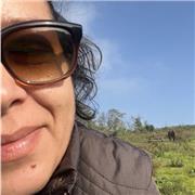 Anni di esperienza offro in ripetizioni di inglese