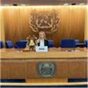 Estudiante de International Business de 23 años, dedicada y apasionada al mundo laboral. Amplia experiencia como docente con niños