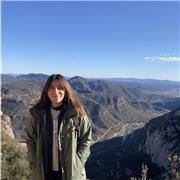 Profesora de Ed. Primaria, ofrezco refuerzo escolar (catalán, ciencias, mates..). Tengo experiencia en clases de repaso y canguros