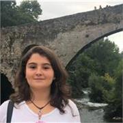 Clases particulares de inglés Online o a domicilio