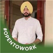 A backend-focused software engineer with a strong foundation in Java and modern microservices architecture.