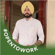 A backend-focused software engineer with a strong foundation in Java and modern microservices architecture.