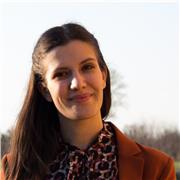 Laureata in ingegneria offre lezioni di matematica per medie e superiori (no liceo scientifico)