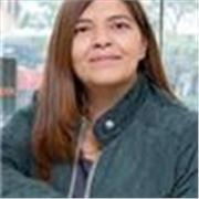 Docente español On line, remoto bogotá