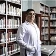 Docente en Historia (educación primaria, secundaria, academia, universitaria y posgrado)