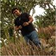 Profesor de apoyo y seguimiento en español