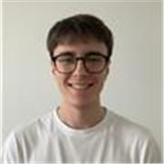 Studente di Ingegneria Informatica offre lezioni di Informatica, Programmazione e Matematica per studenti delle scuole superiori