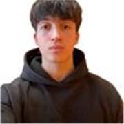Studente di Istituto Tecnico offre ripetizioni di Informatica e Programmazione online per studenti di medie e superiori