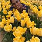 I give private lessons tailored to your level and learning needs 