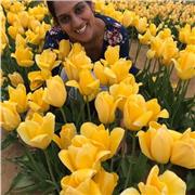 I give private lessons tailored to your level and learning needs