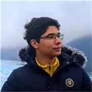 Profesor de inglés para alumnos de primaria a secundaria en todas las edades!