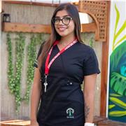 Dicto clases en las 4 áreas, de enseñanza básica