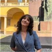 Offro ripetizioni individuali e supporto nello studio a ragazzi e ragazze delle scuole medie, superiori e università