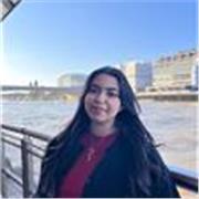 Cours particuliers d'anglais (tous niveaux/ en présentiel ou en ligne)